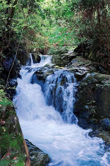 image012.jpg